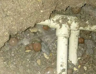 大渡口卫生间测漏