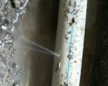 大渡口卫生间测漏水多少钱
